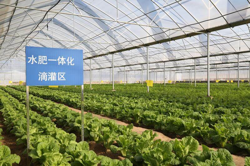 智能物聯(lián)網水肥一體化項目